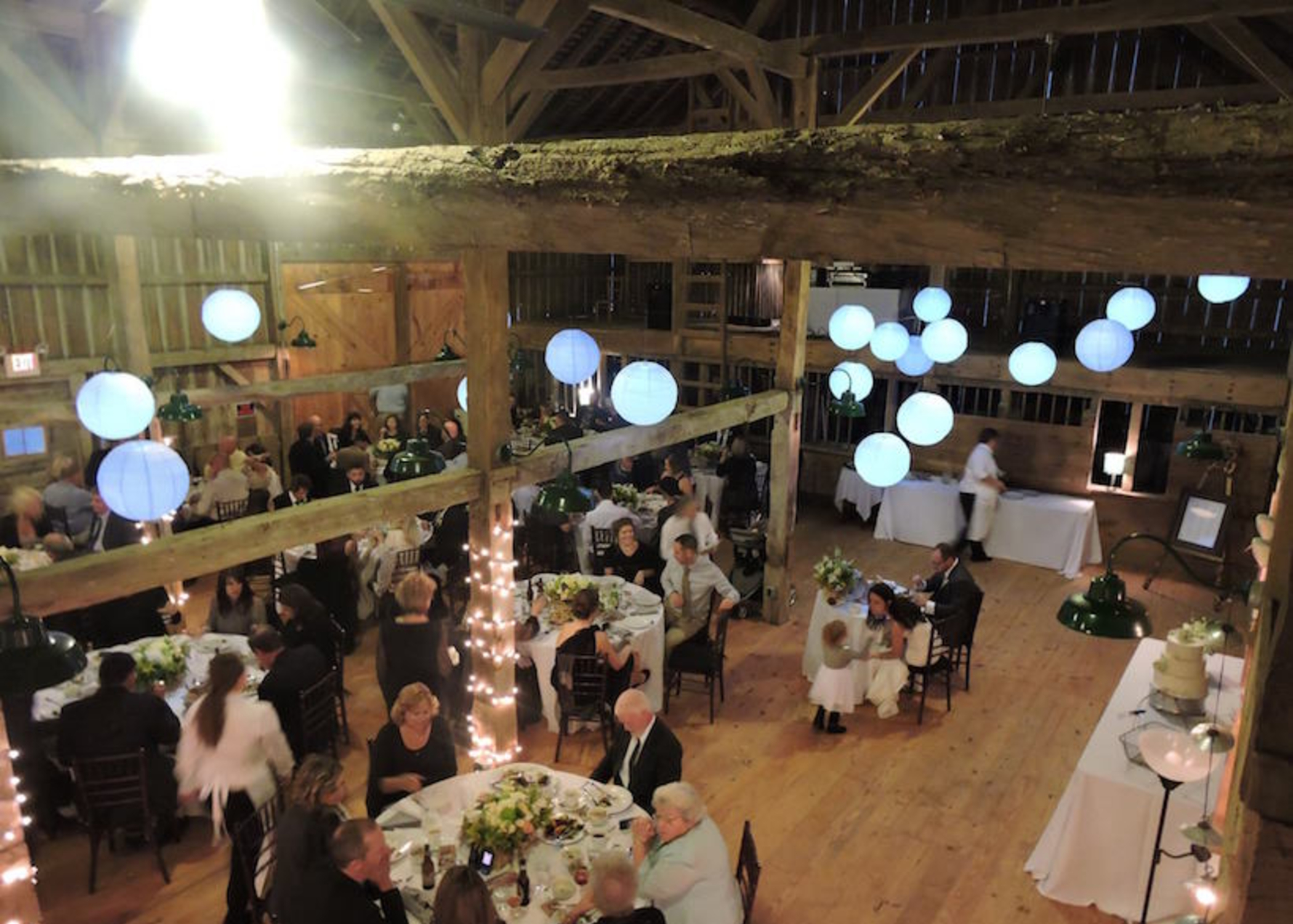 	Tristen and Todd's reception